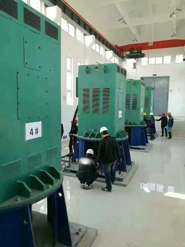 陈仓某污水处理厂使用我厂的立式高压电机安装现场