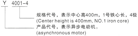 西安泰富西玛Y系列(H355-1000)高压陈仓三相异步电机型号说明